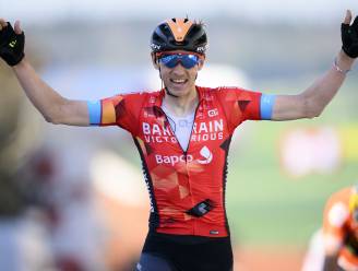 Ondanks zware concurrentie van budgettair krachtigste teams uit de WorldTour: Alpecin-Fenix zet vol in op Dylan Teuns