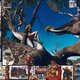 Tragisch einde voor fotograaf Peter Beard (82): nooit zal hij zijn verzameld werk zien