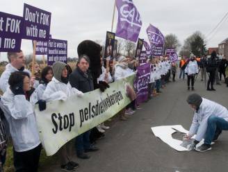 40.000 handtekeningen tegen nertsenfokkerij
