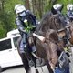 Door paard omvergelopen vrouw bezorgt nu witte roos aan politieruiter