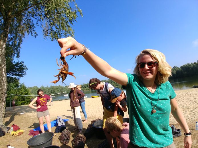 Studenten vonden onlangs ruim 1200 rivierkreeften bij De Kienehoef in Sint-Oedenrode.