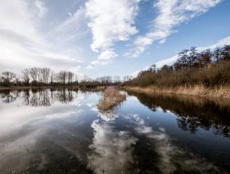 Ontdek al wandelend de afwisselende natuur van de Dommelvallei