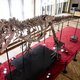 Te koop tegen elk aannemelijk bod: een heuse T. rex