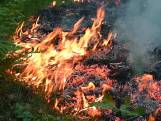 Brand in bosgebied Oisterwijk, vuur onder controle
