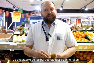 Uroloog Sam Ward gaat viraal met kiwi-filmpje over teelbalonderzoek: “Er is iets aan de hand, en geruststellend is het niet”