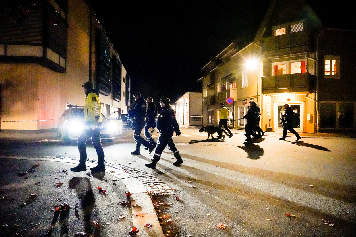 Politie op straat in Kongsberg. Beeld REUTERS
