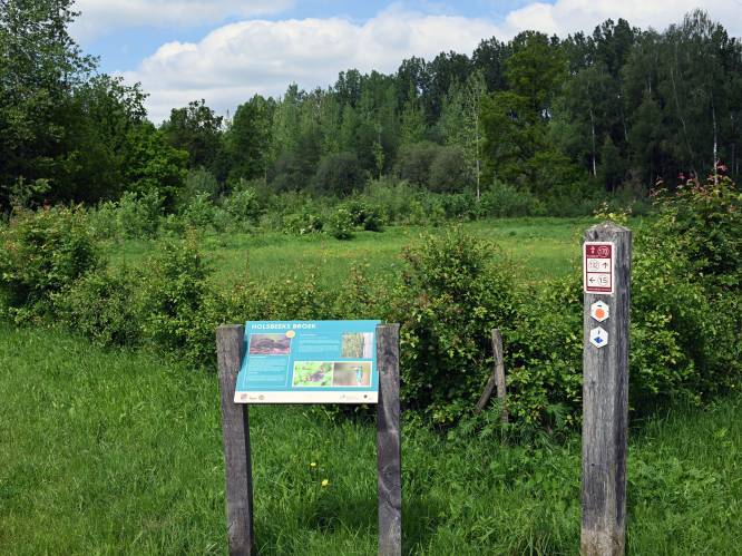Inhuldiging Holsbeeks Broek op zondag 4 juni