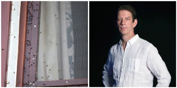 Chris Dusauchoit Ziet Ze Vliegen Lubbeek Hln Be