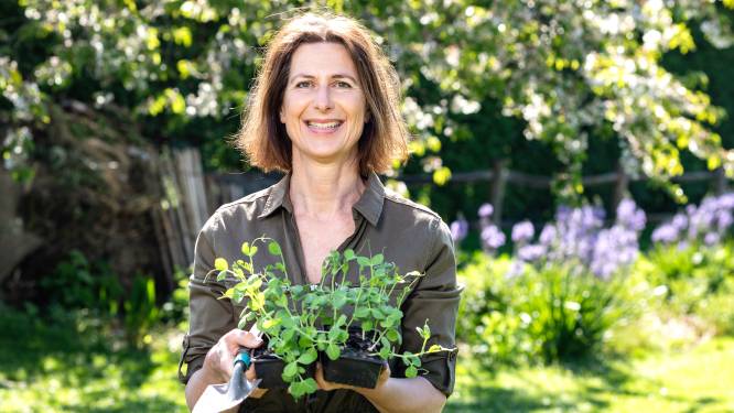 Welke groenten kan je kweken in potten en vanaf wanneer zet je kruiden in de grond? Tuinexperte beantwoordt jullie moestuinvragen