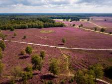 Nieuw protest tegen kabinetsplannen: #MijnNatuurBlijft