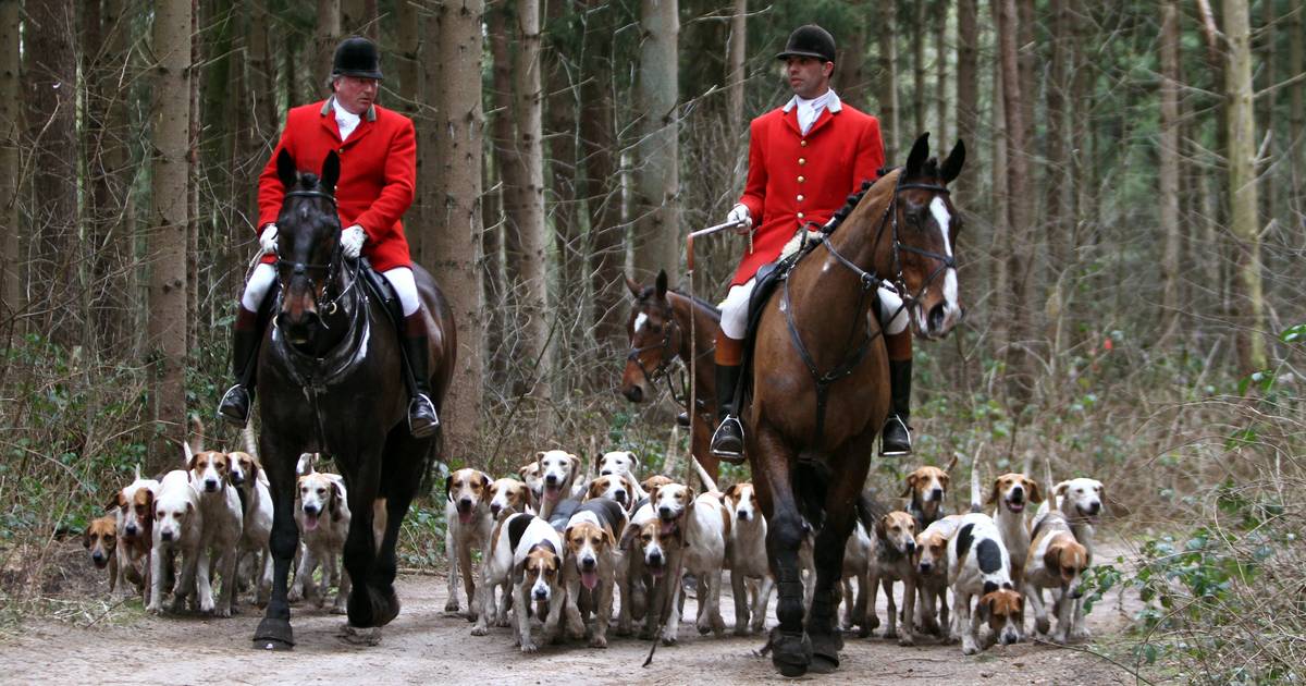 Jachthoorn klinkt na 30 jaar