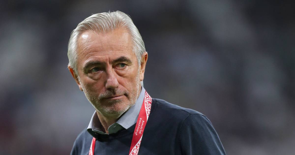 Bert Van Marwijk keert terug als bondscoach voor de VAE |  Buitenlands voetbal