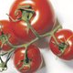 Britten moeten op rantsoen: maximaal drie tomaten per persoon