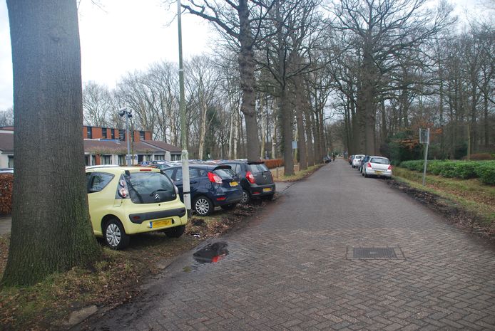 mobiel Overleving brandwond Paaltjes tegen fout parkeren in Oude Gracht Eindhoven | Eindhoven | ed.nl