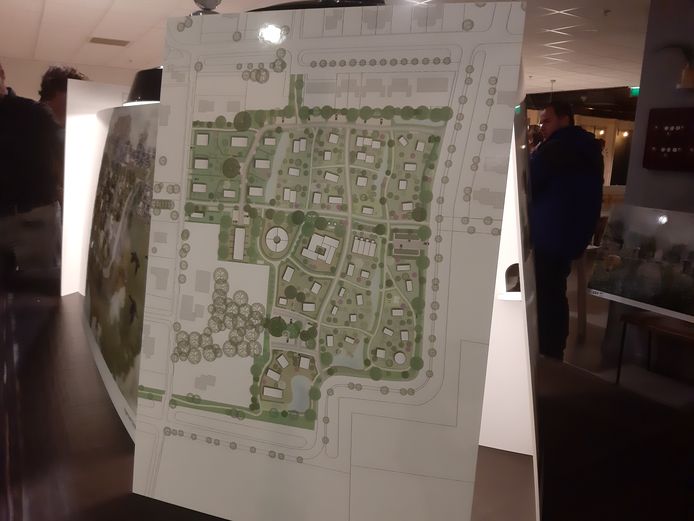 De kavelverdeling in het plan Olstergaard. Met in het midden een gezamenlijk wonenproject van acht appartementen, rechtsonder een zone met circa tien tiny houses en rechts in het middel een centrale parkeerplaats met zonnepanelen.