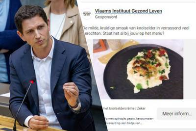 “Dit zijn absurd onzinnige uitgaven”: Vlaamse overheid (alweer) onder vuur om recep­ten te promoten
