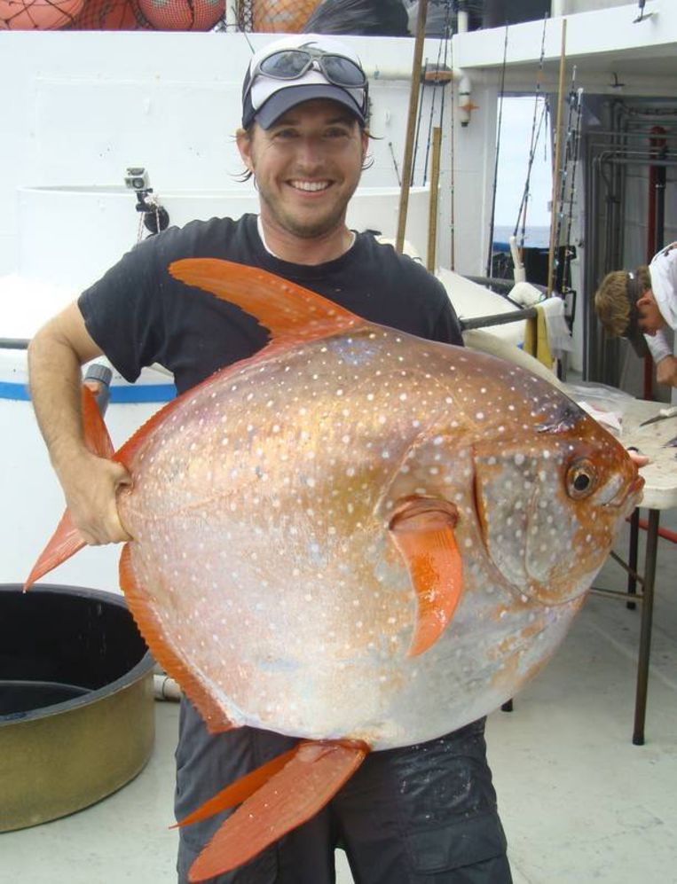 null Beeld NOAA Fisheries West Coast