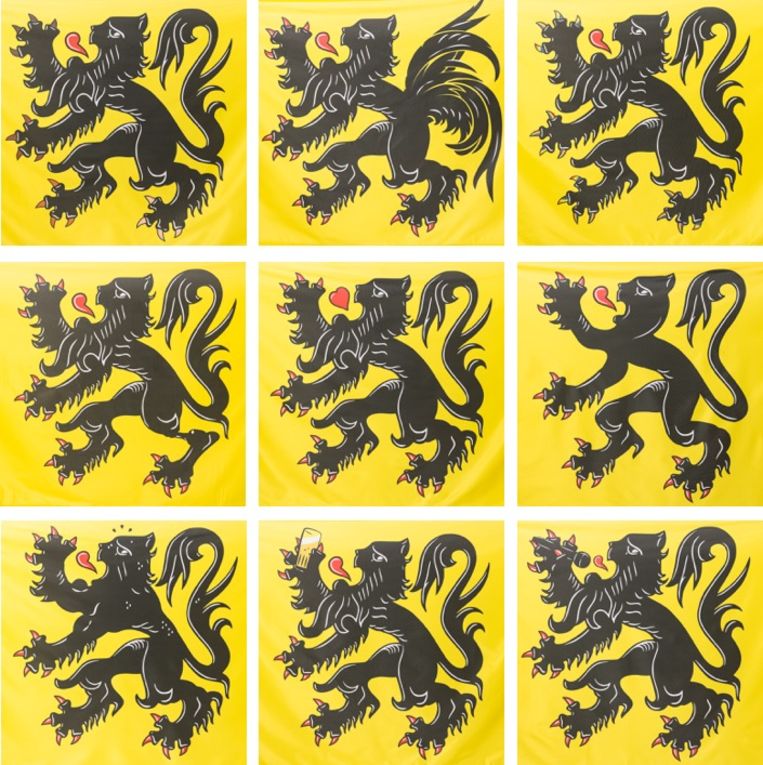 De negen nieuwe Vlaamse vlaggen