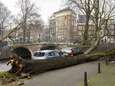 Interpolis heeft al ‘erg veel’ meldingen van stormschade binnengekregen