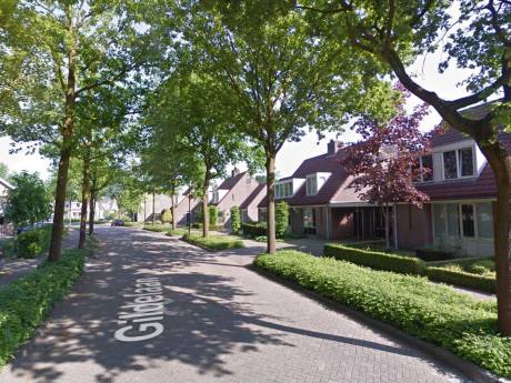 Geen honderd maar elf bomen gaan om in de Gildelaan in Hilvarenbeek