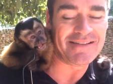 Dierenbescherming: Filmpje Jeroen met aap domme actie | Show | AD.nl