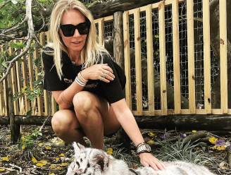 Vrouw van Sergio Herman poseert trots met tijgerwelp, maar dat komt haar duur te staan