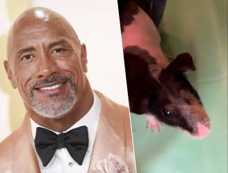 Dwayne Johnson wordt verrast na thuiskomst van Oscars: “Ik heb er twee gezinsleden bij”