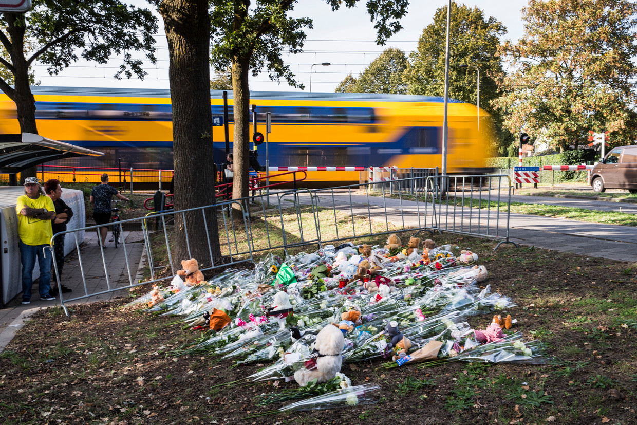 Bloemen langs de spoorwegovergang in Oss Beeld ANP