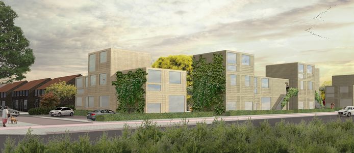 De nieuwe tijdelijke woningen aan de Quinten Matsyslaan in Tongelre, Eindhoven. Sint Trudo plaatst ze voor tien jaar voor mensen die snel een woning nodig hebben.