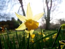 Deux dates différentes, pas le 21 mars avant la fin du siècle: en fait, c’est quand le début du printemps? 