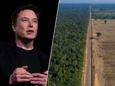 Elon Musk et le gouvernement brésilien veulent lutter contre la déforestation dans la forêt amazonienne