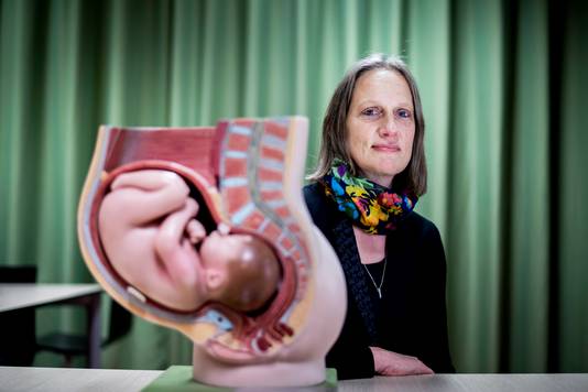 Ank de Jonge wordt per 1 december aanstaande benoemd tot hoogleraar Verloskundige Wetenschap (Midwifery Science) aan het Amsterdam UMC.