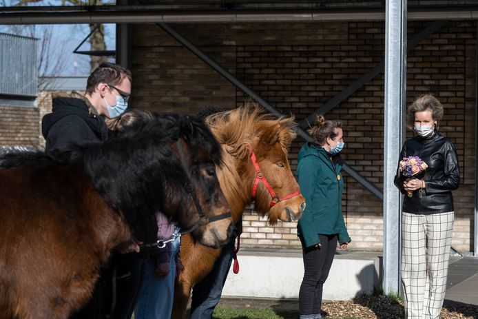 Demonstratie van paardentherapie