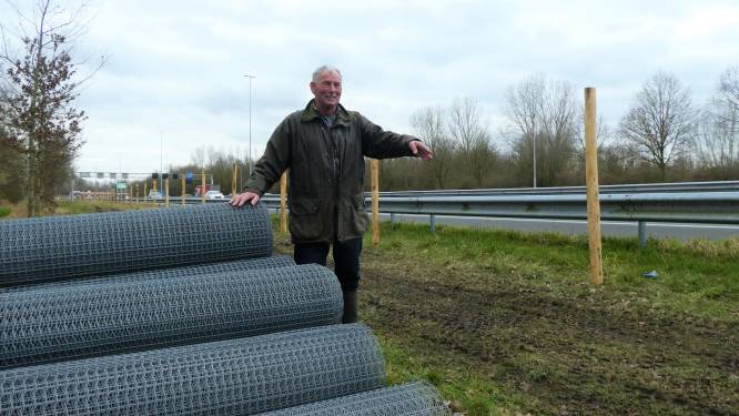 Eindelijk wildafrastering bij A2 Liempde: ‘Reeën, vossen en dassen werden hier vaak dood gereden’