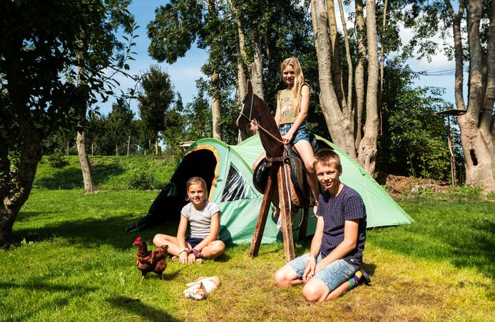 Jolyn (10), Thirza (11) en Thimon (13) vieren vakantie in hun eigen tuin in Bleskensgraaf.