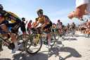 Primoz Roglic weet zich goed omringd door zijn ploeggenoten.