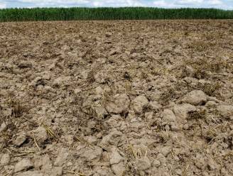 Het regent niet langer na zonneschijn: steeds vaker lange periodes hetzelfde weer. Hoe komt dat?