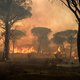 Immense bosbrand nabij Saint-Tropez eist eerste dodelijk slachtoffer, situatie blijft verraderlijk