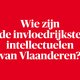 De Morgen maakt een top tien van Vlaamse denkers met invloed