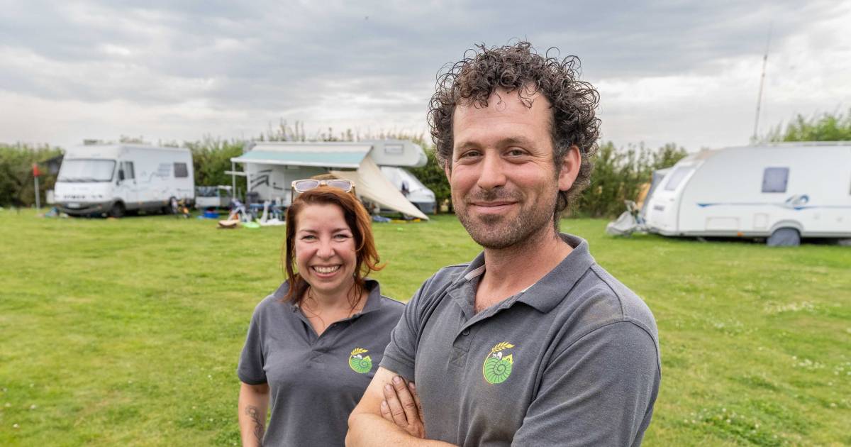 Kamperen bij het Sloegebied: ‘Iedereen verklaarde ons voor gek toen we hier een camping begonnen’