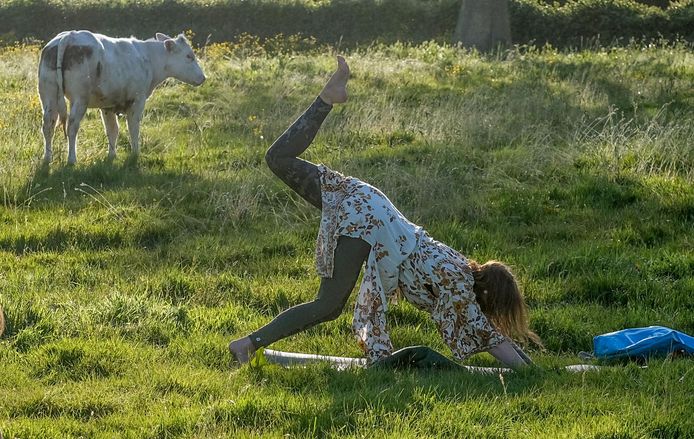Yoga in de weide.