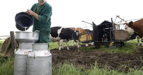 Verrassend Melken in de wei | Achterhoek | gelderlander.nl GQ-24