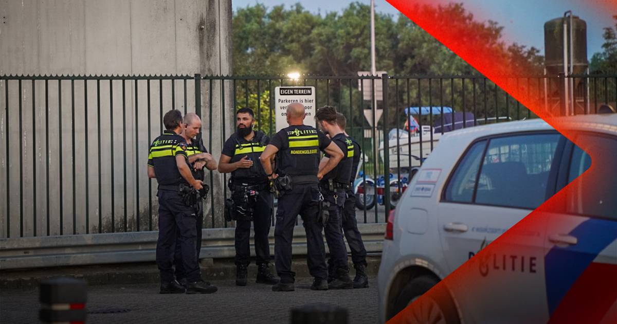 Aanhouding op camping in Lathum • Vrouw uit auto bevrijd na ongeval Arnhem