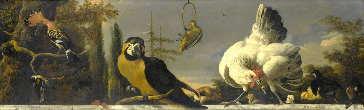  Vogels op een balustrade van Melchior d’Hondecoeter.  Beeld Beeld Rijksmuseum