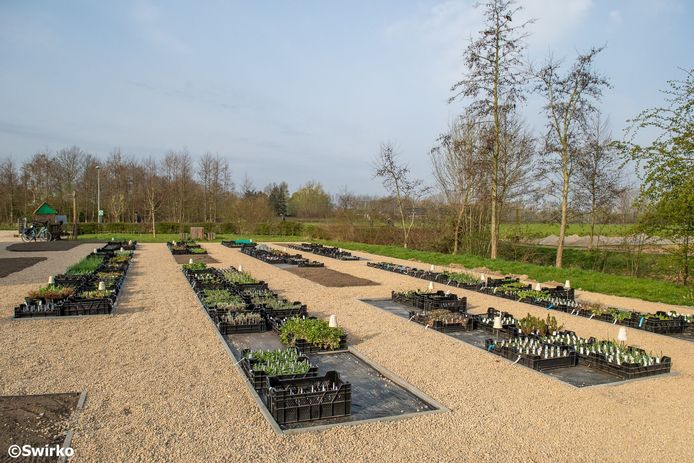 De vernieuwde bioboerderij De Loods in Aalst.