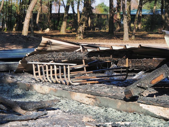 Tien dieren komen om bij aangestoken brand in Beekse Bergen.