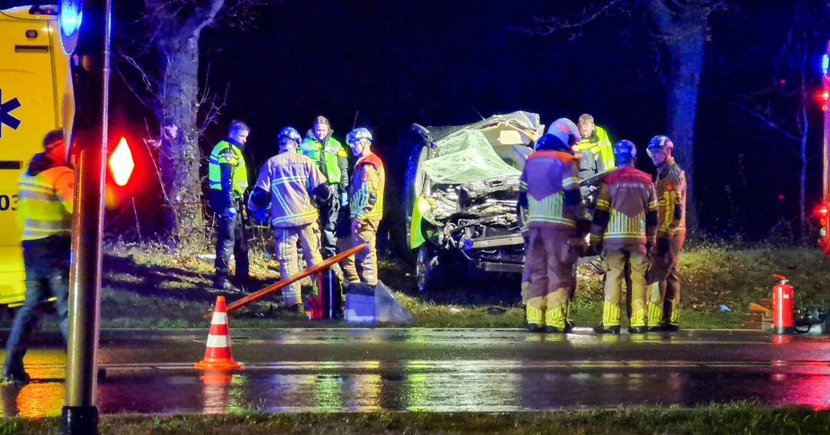 Zwaar ongeval op N346 bij Ambt Delden, bestelbus botst frontaal op boom.