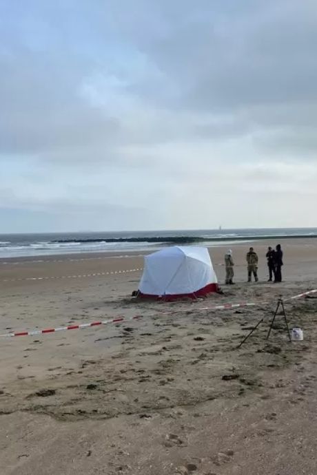 Un corps sans vie retrouvé sur la plage de Wenduine