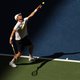 IJzersterke Medvedev klapt jongensboek van Van de Zandschulp in kwartfinale US Open dicht