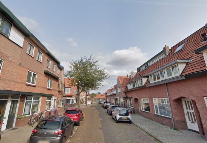 De Dennenstraat